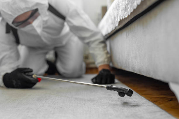 Professional Bed Bug Control technician working in Reidland, KY