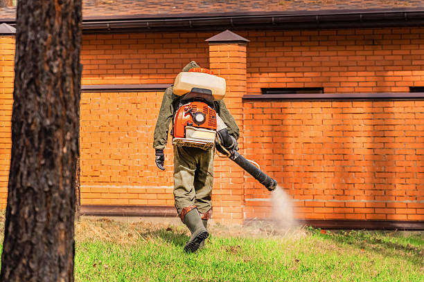 Trusted Termite Control service in Reidland, KY - Nex Pest Control